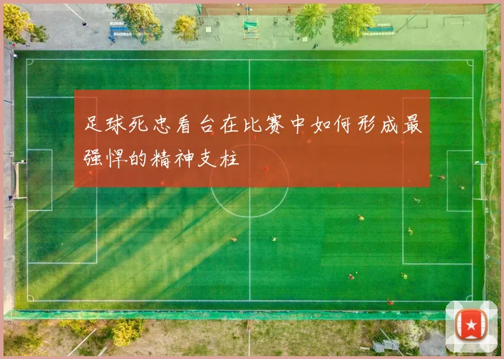 足球死忠看台在比赛中如何形成最强悍的精神支柱