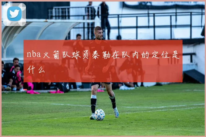 nba火箭队球员泰勒在队内的定位是什么