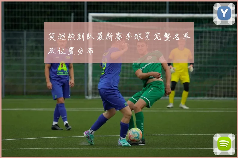 英超热刺队最新赛季球员完整名单及位置分布